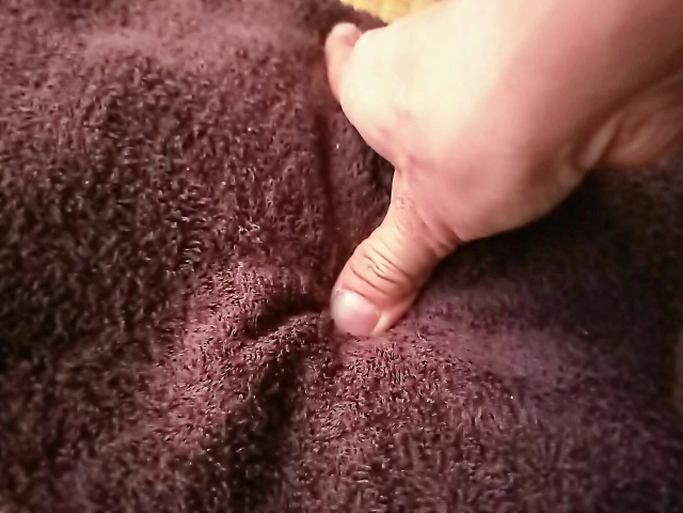 画像23491
