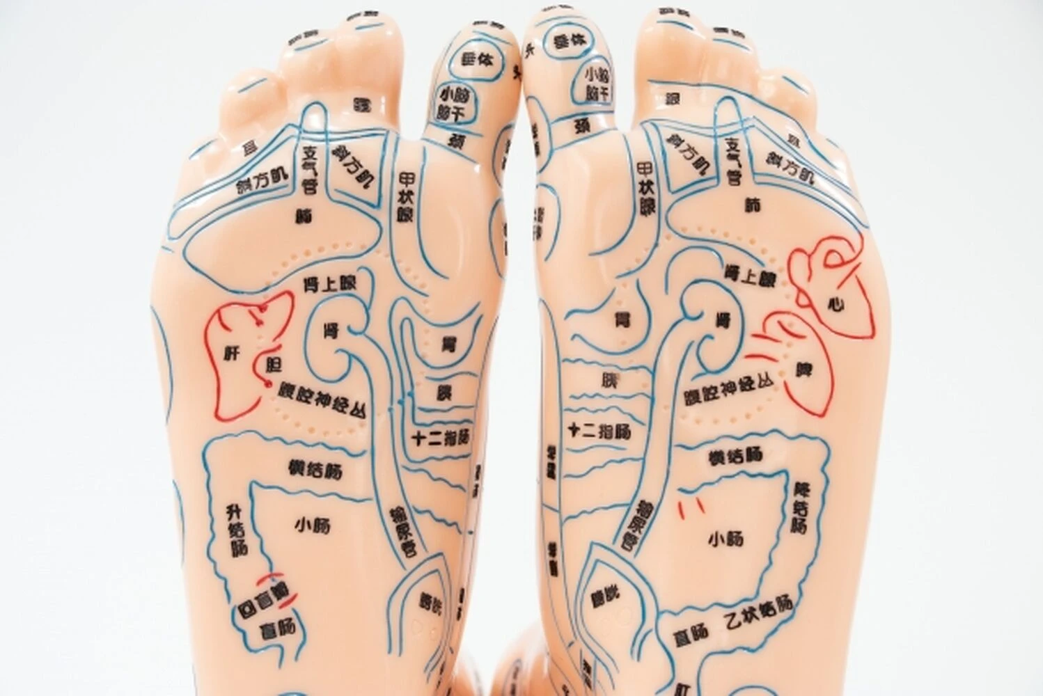画像30928