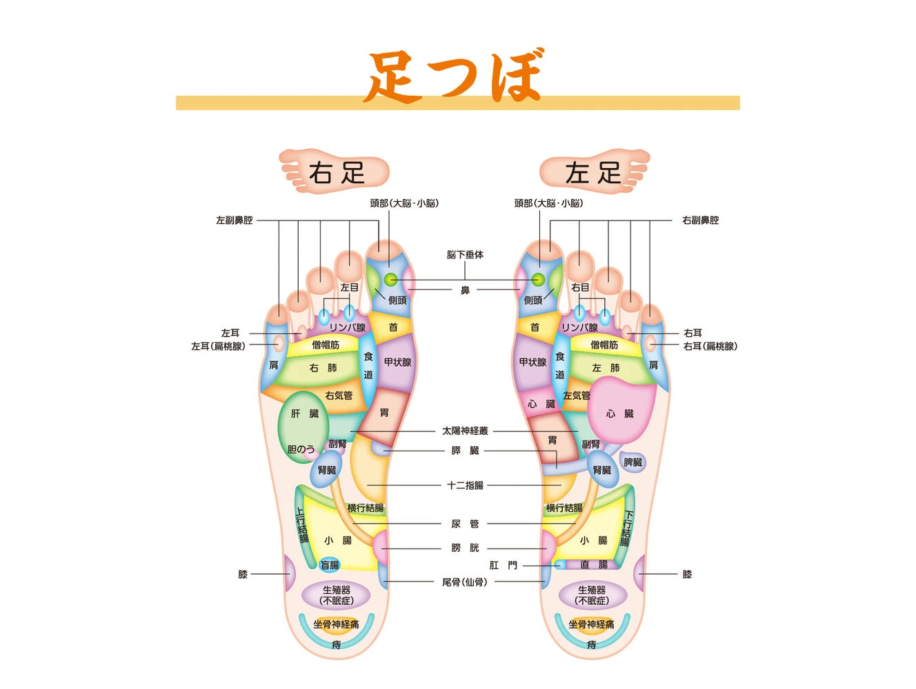 画像34701