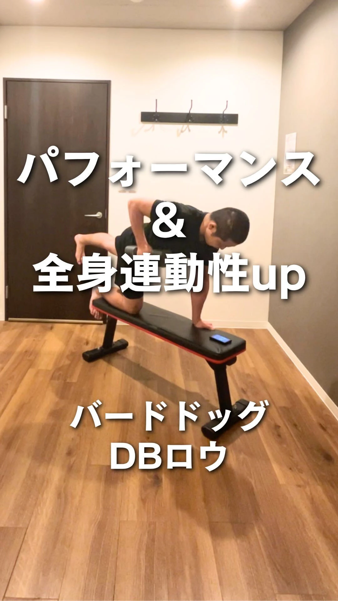 【パフォーマンス 連動性 体幹 トレーニング】運動パフォーマ